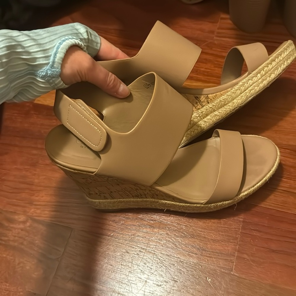 Charles by Charles David Wedge Sandals